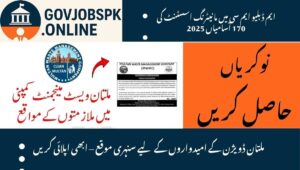 Read more about the article MWMC Latest Jobs 2025 – Apply for Monitoring Assistants in Multan Division